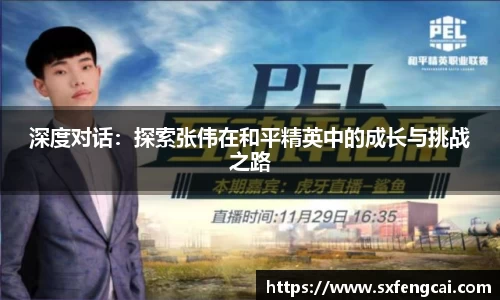 3377体育官网下载