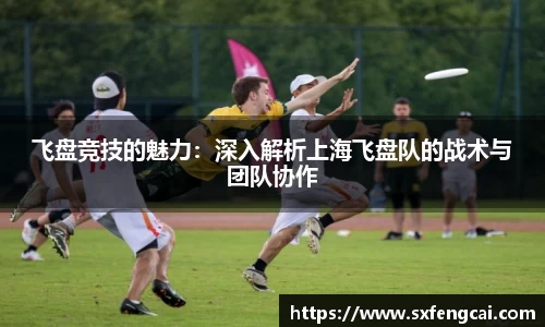 3377体育官网下载