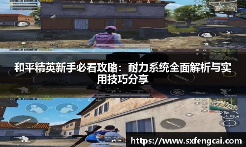 和平精英新手必看攻略：耐力系统全面解析与实用技巧分享