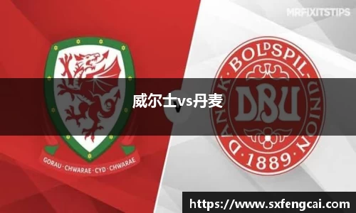 威尔士vs丹麦