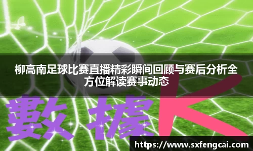 3377体育官网下载