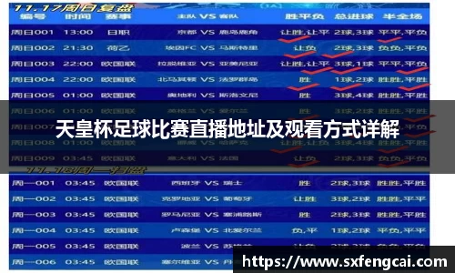 3377体育官网下载