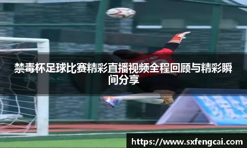 3377体育