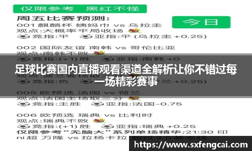 足球比赛国内直播观看渠道全解析让你不错过每一场精彩赛事