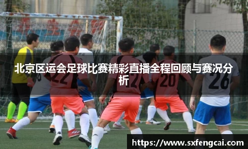 3377体育官网下载