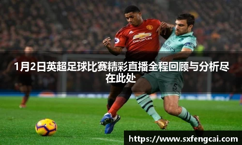 3377体育官网
