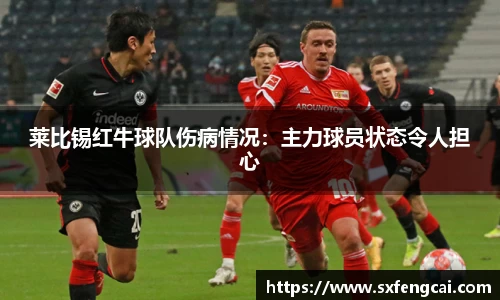 莱比锡红牛球队伤病情况：主力球员状态令人担心